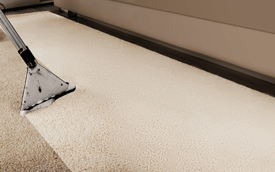 Revitalize Your Space: The Remarkable Benefits of Carpet Cleaning